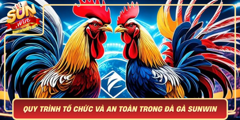 Quy Trình Tổ Chức Và An Toàn Trong Đá Gà Sunwin – Uy Tín Và Chuyên Nghiệp Quy Trinh To Chuc Va An Toan Trong Da Ga Sunwin Uy Tin Va Chuyen Nghiep